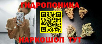 прущие грибы Моздок