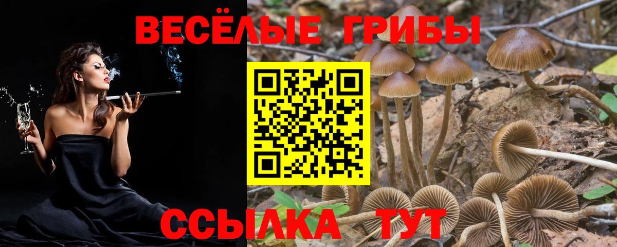 Галлюциногенные грибы Magic Shrooms Электрогорск