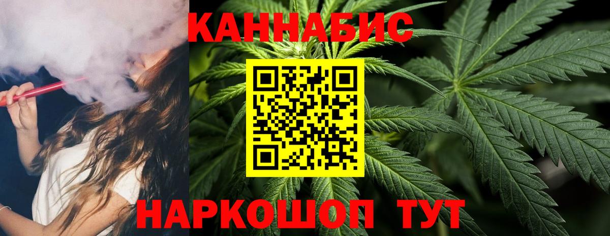 Канабис планчик Электрогорск